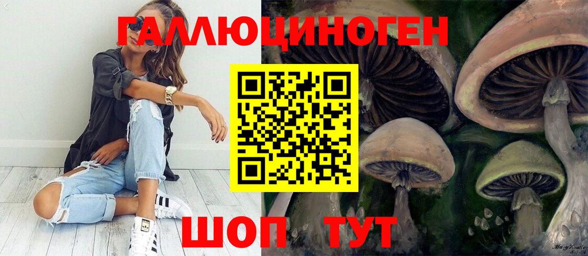 Новоуральск  Псилоцибиновые грибы мухоморы  Вход с VPN 